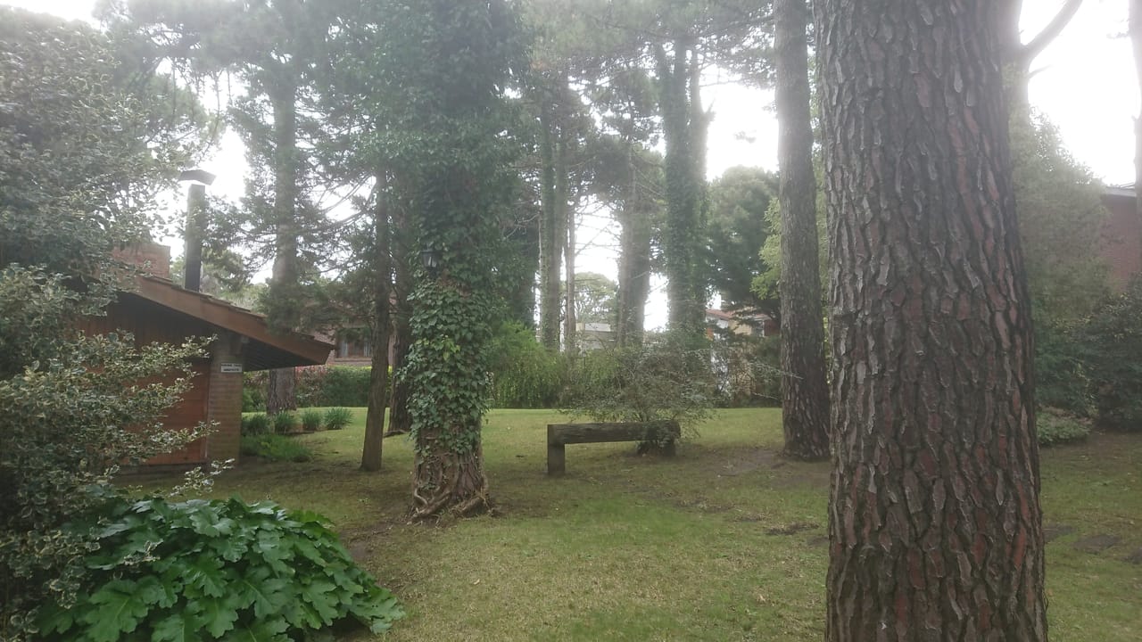 Parque