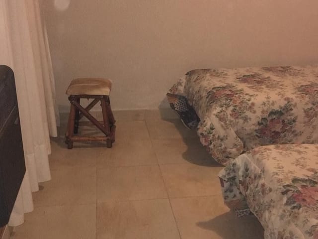 Solcito foto 15