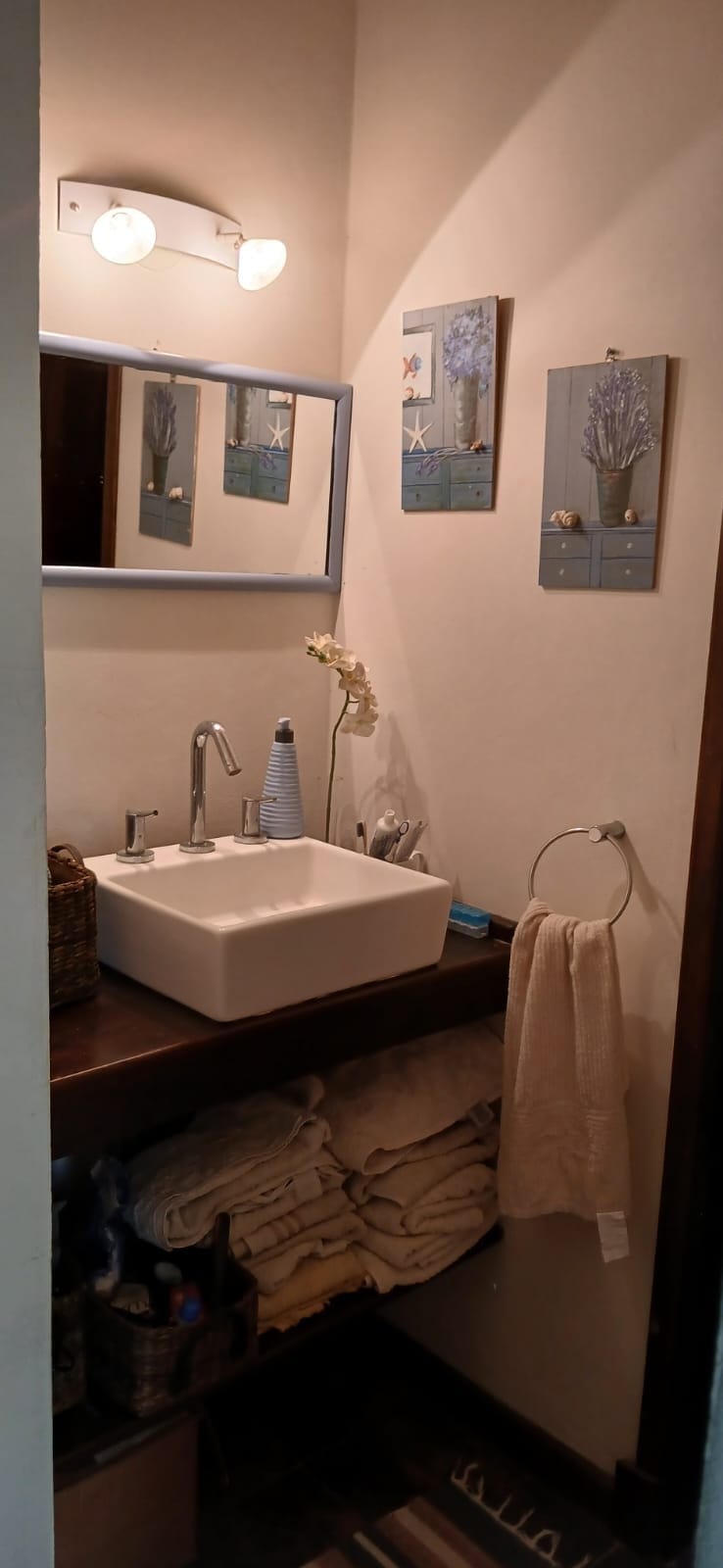 Antebaño Habitacion Principal