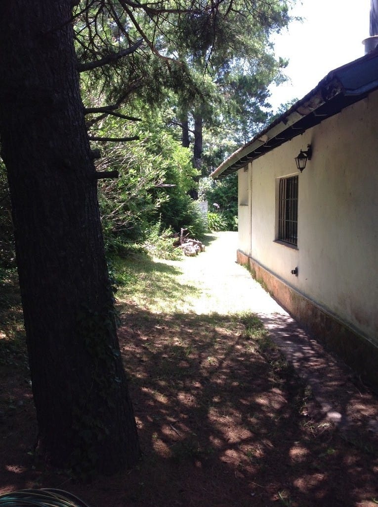 jardin costado
