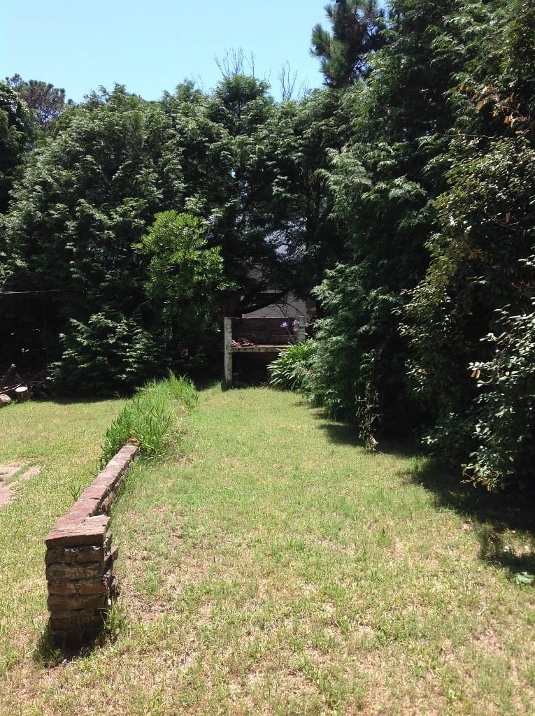 jardin trasero