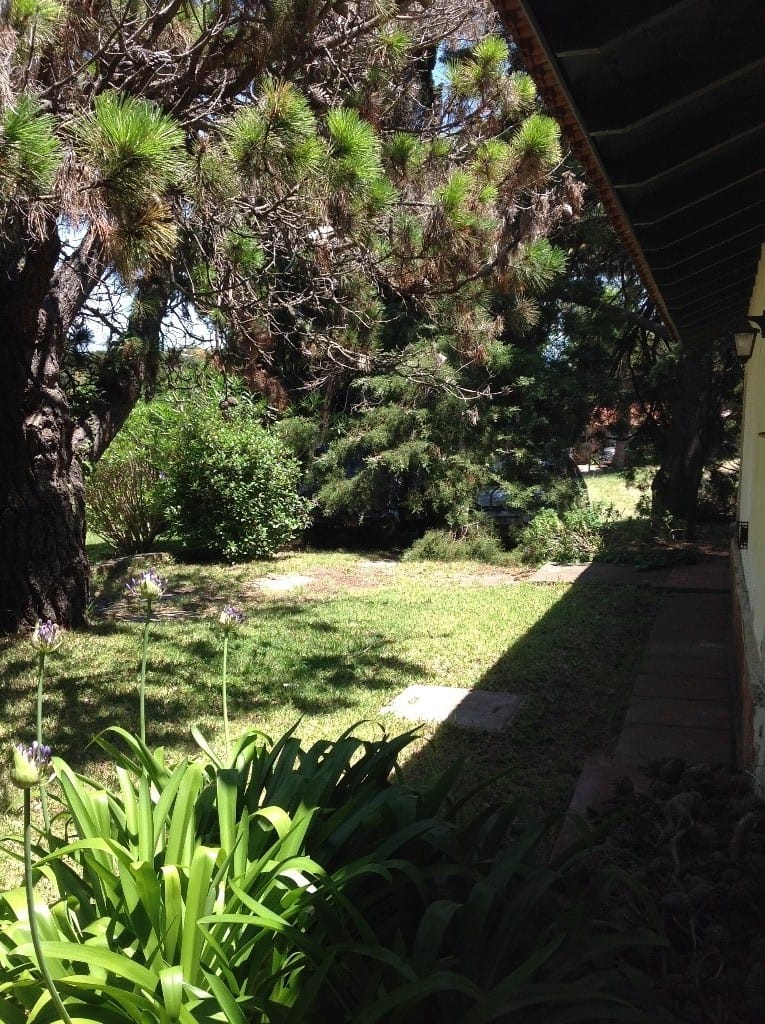 jardin costado