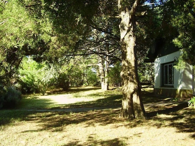 jardin delantero