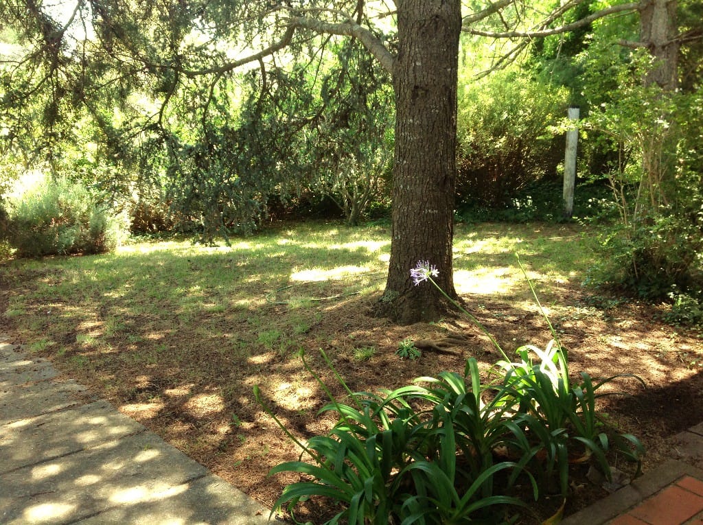 jardin delantero