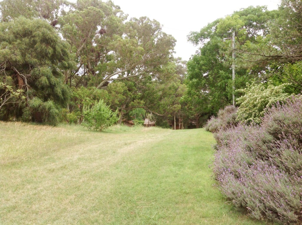 calle cortada con acceso a parque ademas del jardin propio de la casa