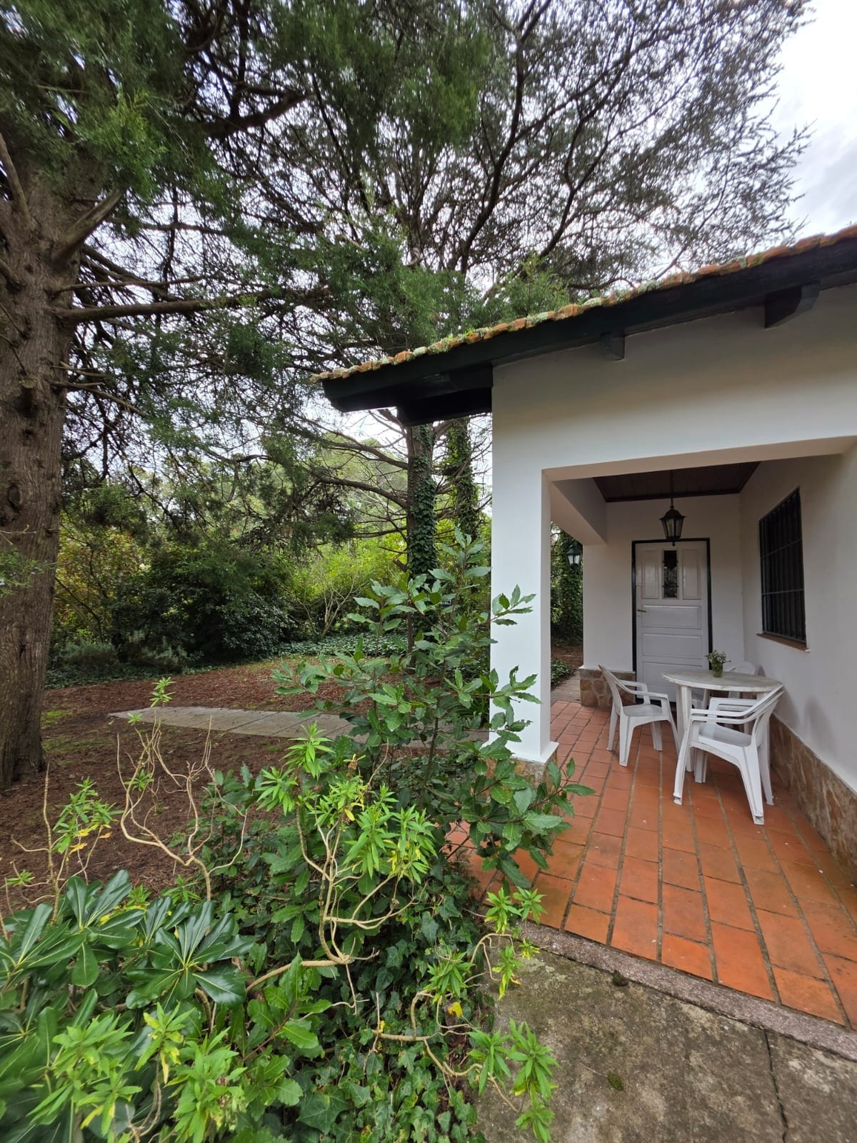 entrada y jardin delantero