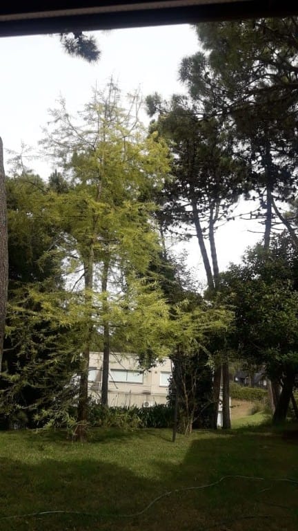 Chalet / Casa en Pinamar Norte PR2420