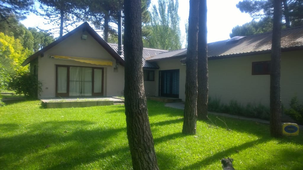 Patio con mucho verde
