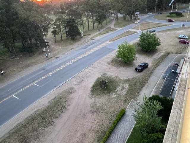 Marga foto 14