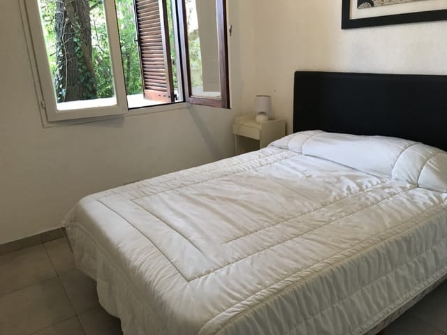 STELLA foto 13