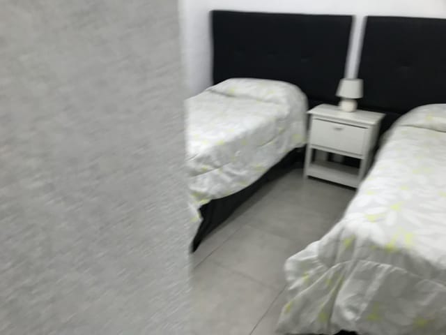 STELLA foto 14