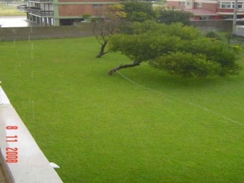 parque trasero