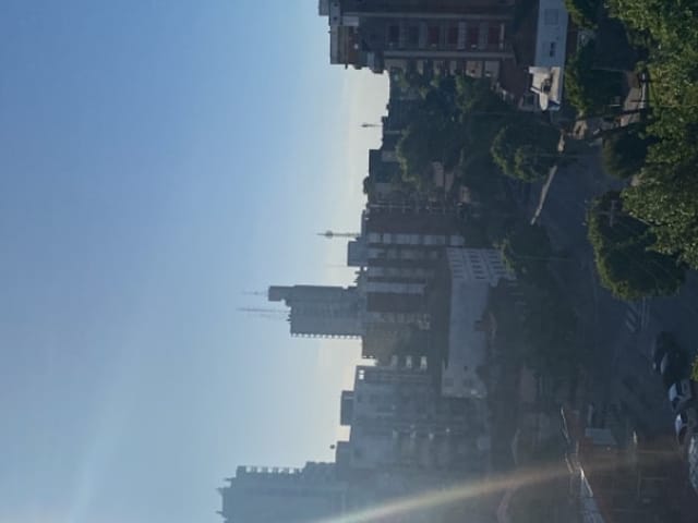 Vista