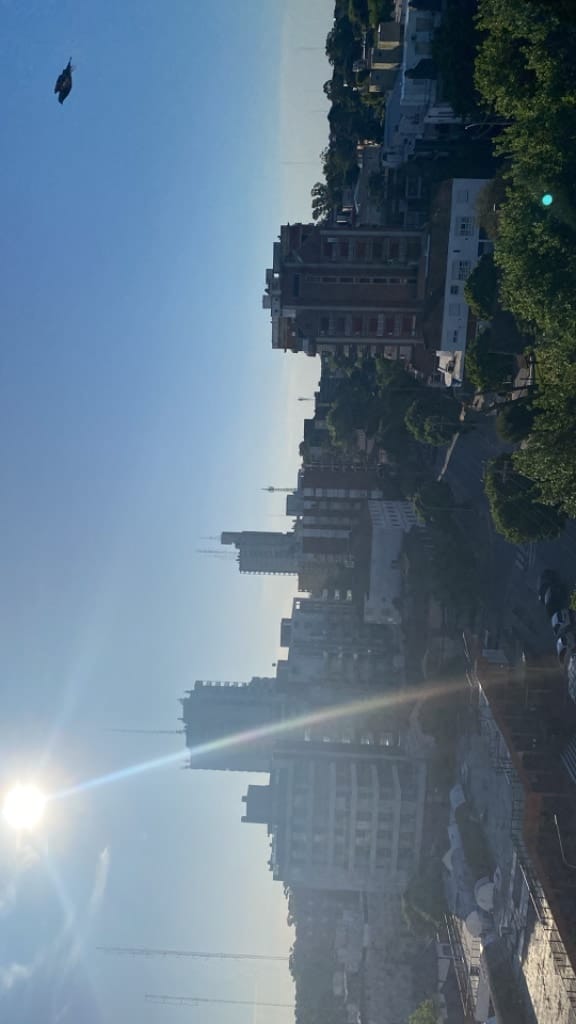 Vista