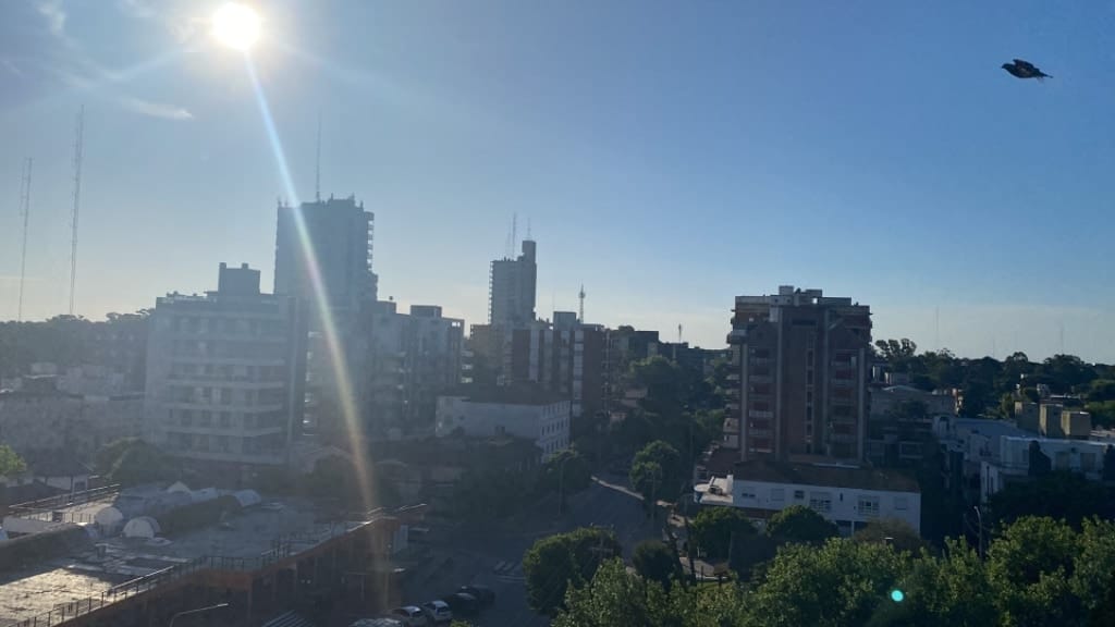 Vista