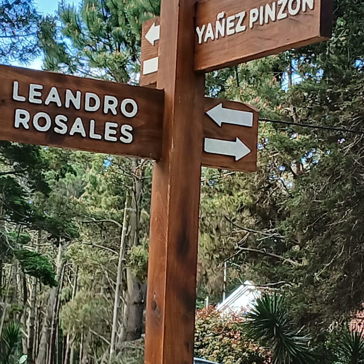 ROSALES 1219